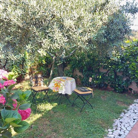 Appartamento Alida Umag Exterior foto
